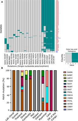 Identification of Co-Existing Mutations and Gene Expression Trends Associated With K13-Mediated Artemisinin Resistance in Plasmodium falciparum